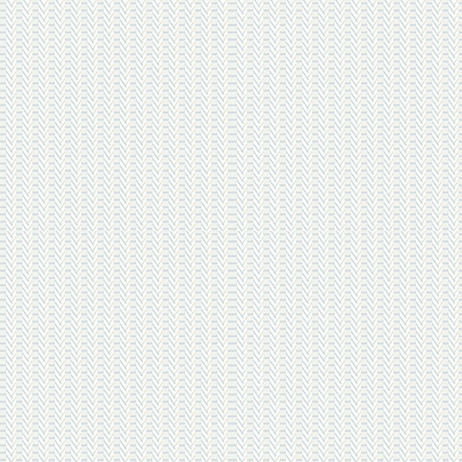 ES429
