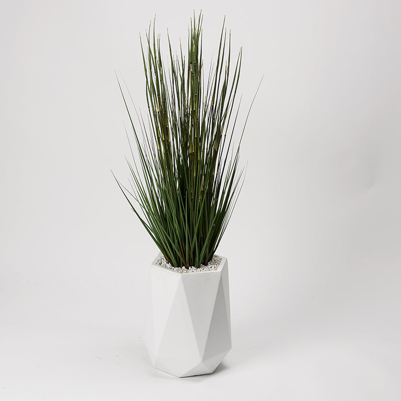 ONION GRASS IN WHITE RESIN PLANTER