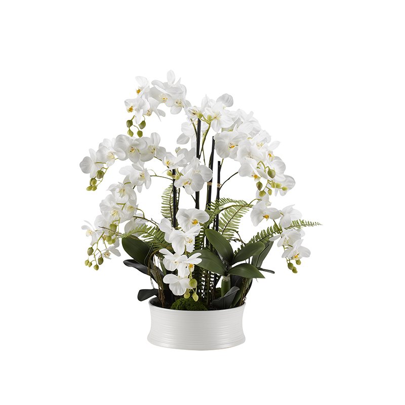 WHITE ORCHIDS IN ROUND WHITE CERAMIC DISH