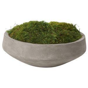 PRESERVED MOOD MOSS IN ROUND CEMENT BOWL