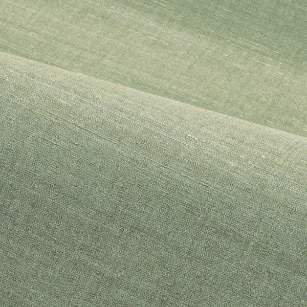 SORA WALLPAPER - EUCALYPTUS