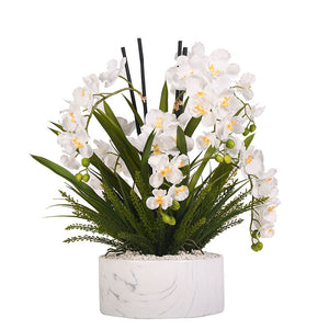 CREAM VANDA ORCHIDS WITH HEATHER FERN IN MARBLE