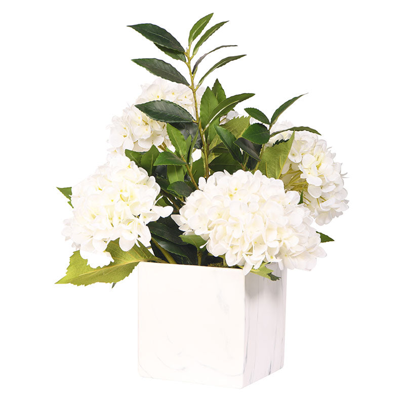 WHITE HYDRANGEAS IN SQUARE MARBLE PLANTER