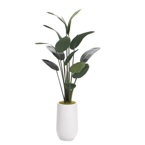 TRAVELLER PALM IN WHITE CEMENT PLANTER