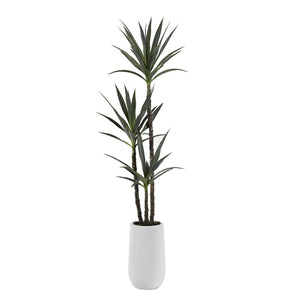 YUCCA TREE IN TALL ROUND WHITE RESIN PLANTER