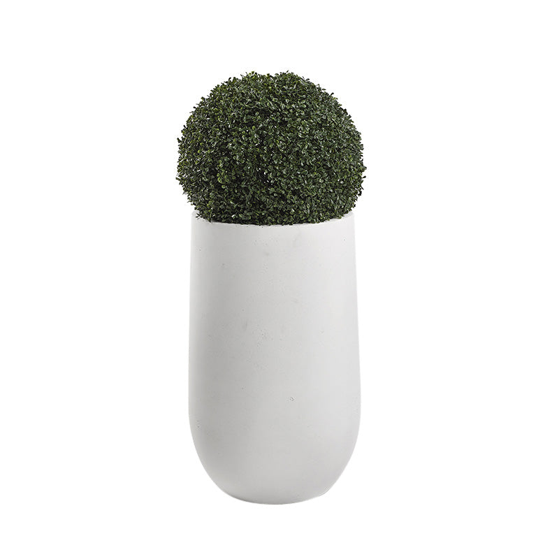 BOXWOOD BALL IN ROUND WHITE RESIN PLANTER