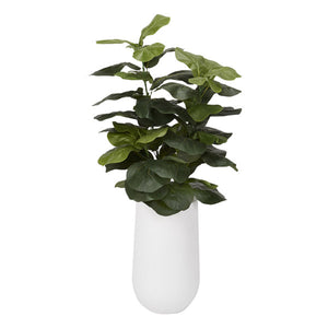 FIDDLE LEAF FIG IN ROUND WHITE RESIN PLANTER