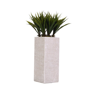 GREEN LILY GRASS IN TALL WHITE SQUARE TEXTURED PLANTER