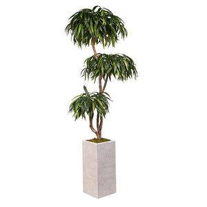 WEEPING FICUS TREE IN TALL WHITE TEXTURED PLANTER