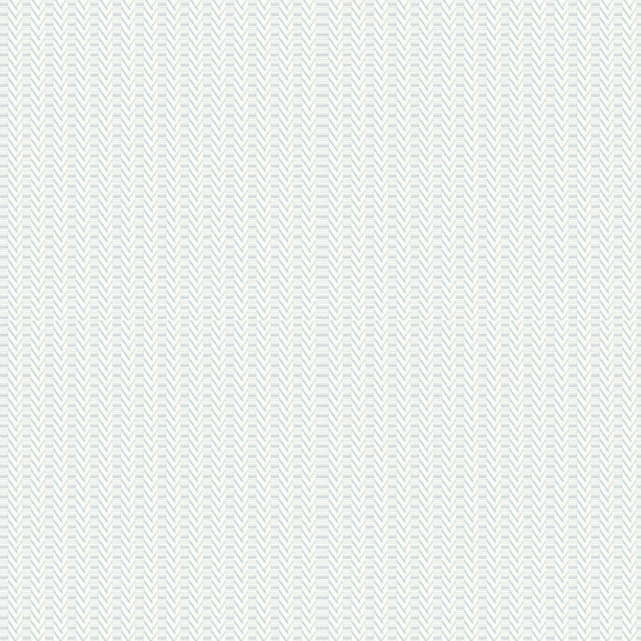 ES429