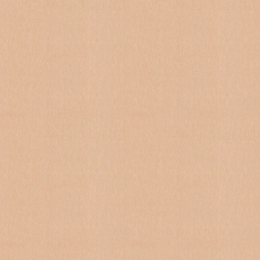 ES481