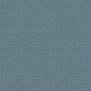 ES491