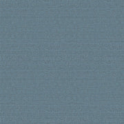 ES491