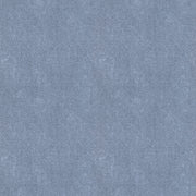ES493