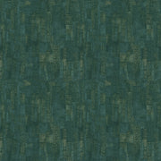 ES581