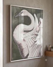 SWAN DANCE - B