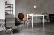 FLORENCE WALNUT DINING CHAIR