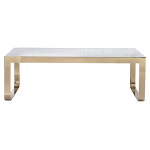 ASTER COFFEE TABLE