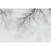 LARGE BLOSSOM TREE WALLPAPER, GRAY CHINOISERIE NATURE FLOWERS WALL MURAL