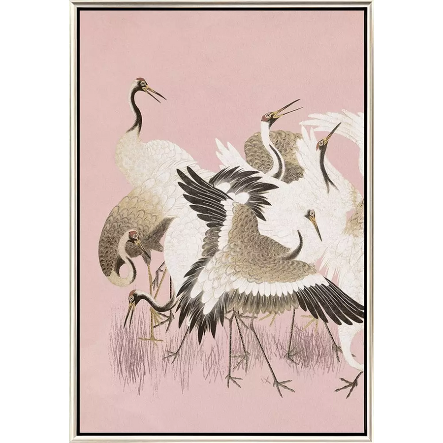 CURIOUS CRANES - PLUMULE