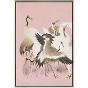CURIOUS CRANES - PLUMULE - 1