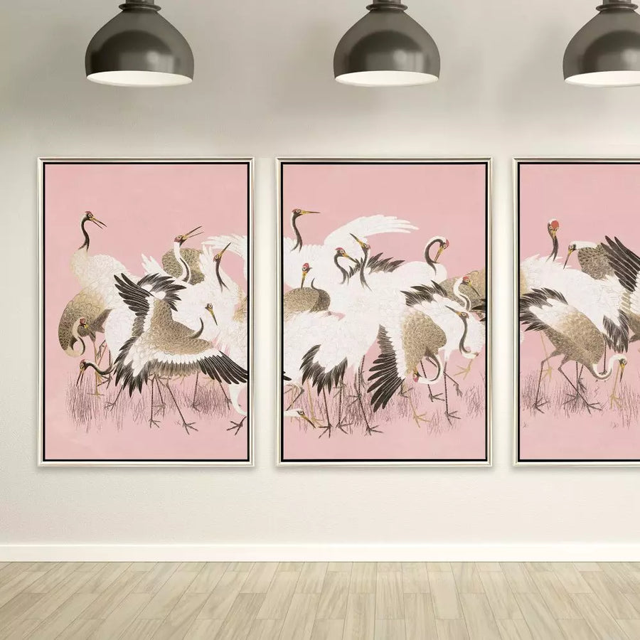 CURIOUS CRANES - PLUMULE - 1