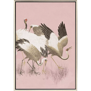CURIOUS CRANES - PLUMULE - 3