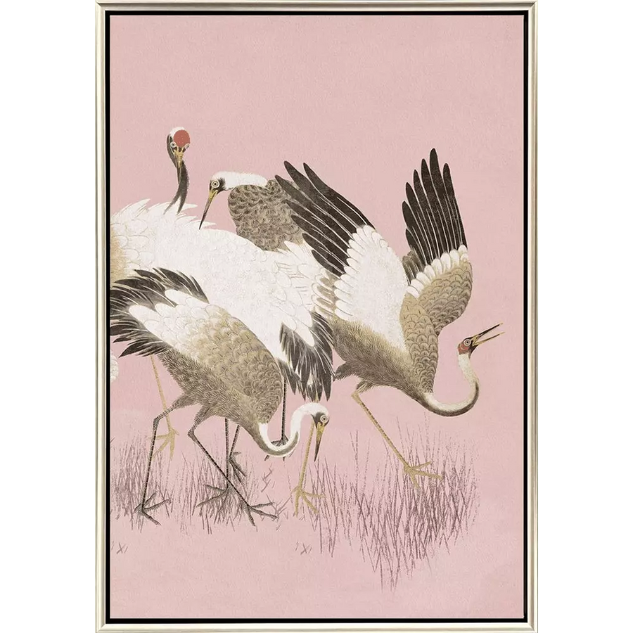 CURIOUS CRANES - PLUMULE - 3