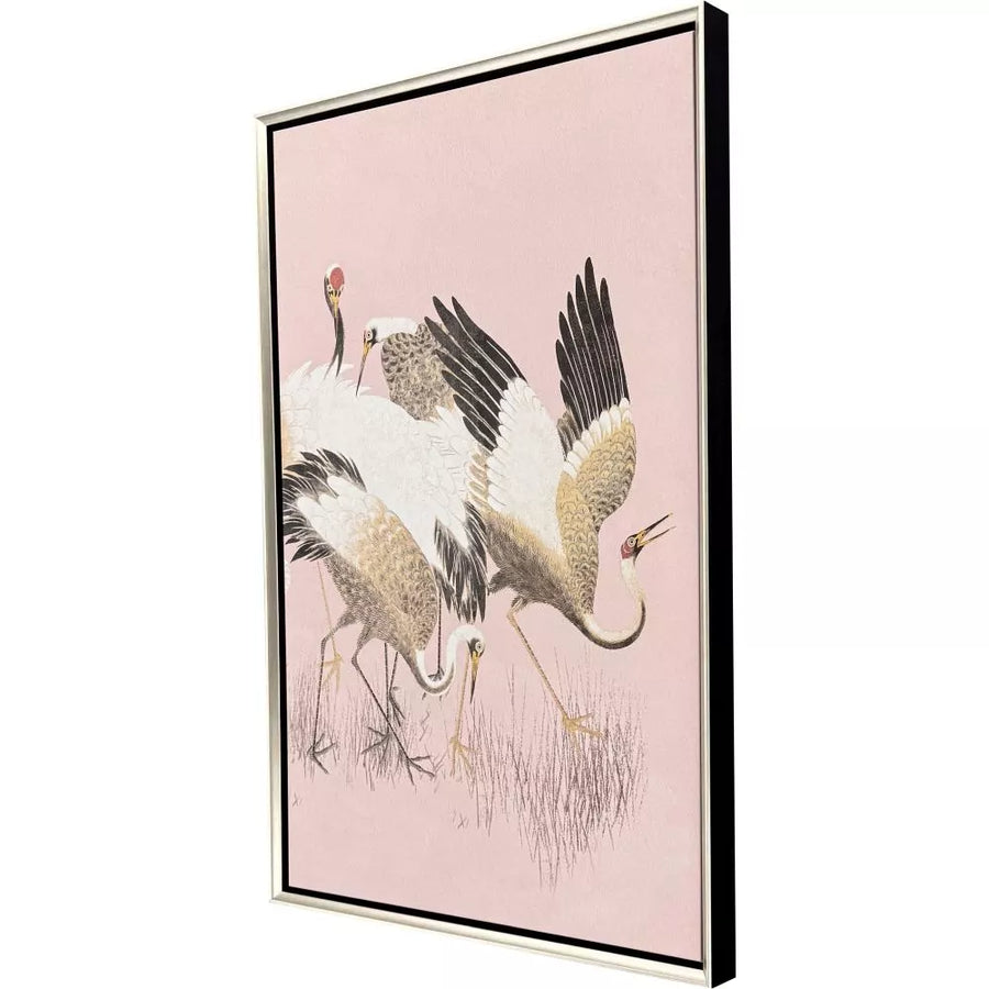 CURIOUS CRANES - PLUMULE - 3