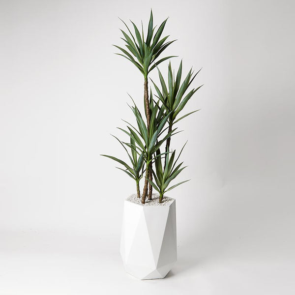 ′ YUCCA TREE IN WHITE RESIN PLANTER
