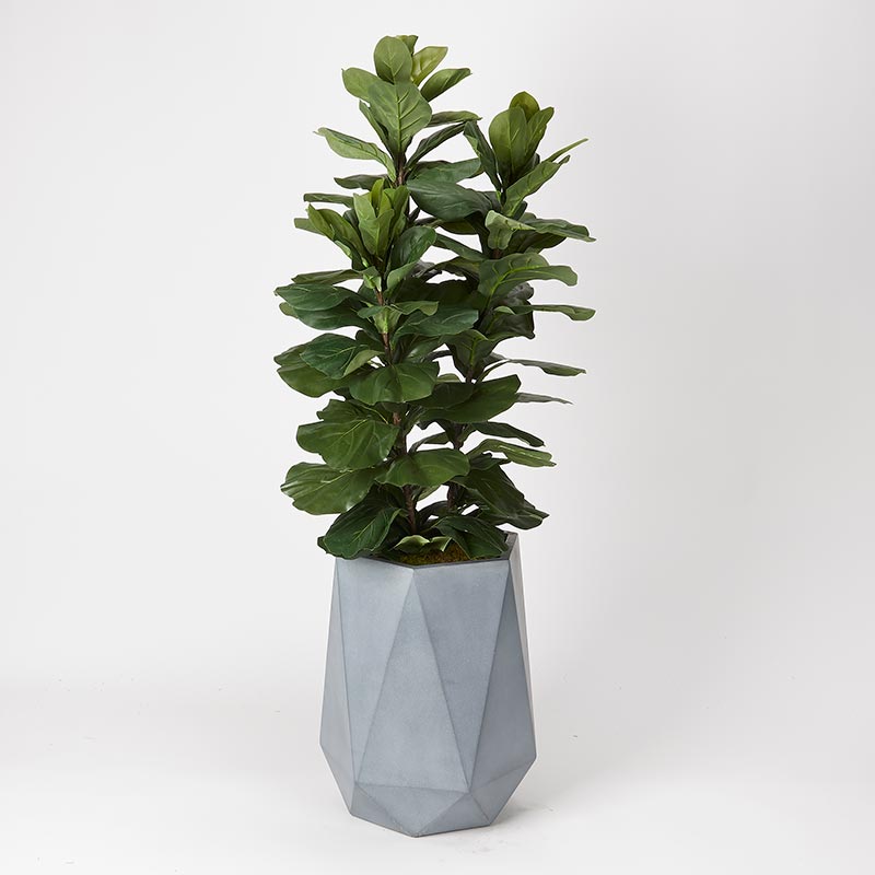 ′ FIDDLE LEAF FIG TREE IN GREY RESIN PLANTER